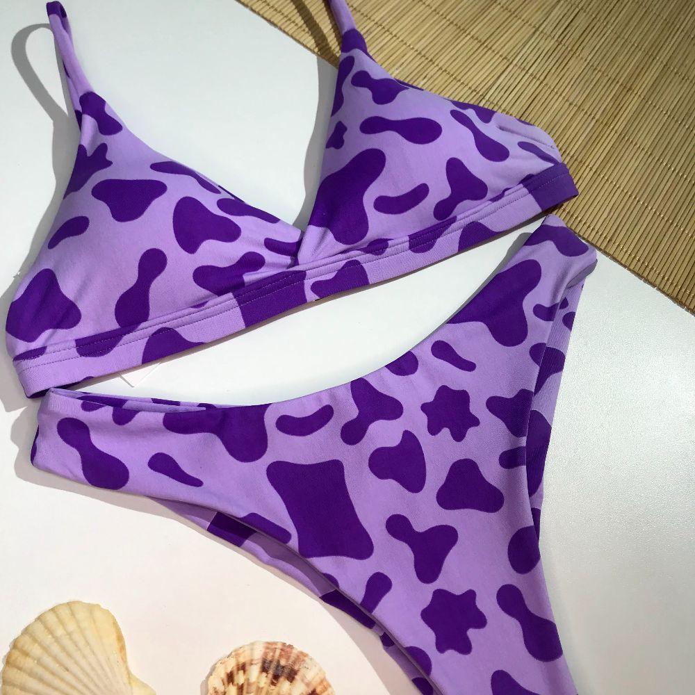 Conjunto Base Fixa Est. Vaca