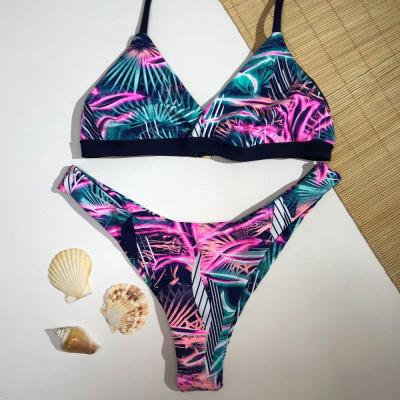 Conjunto Base Fixa Est. Folhas Neon